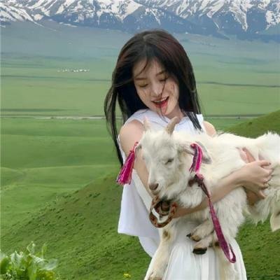 大宪章国王的最后旅程